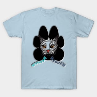 Cat Meoow, Meooow T-Shirt